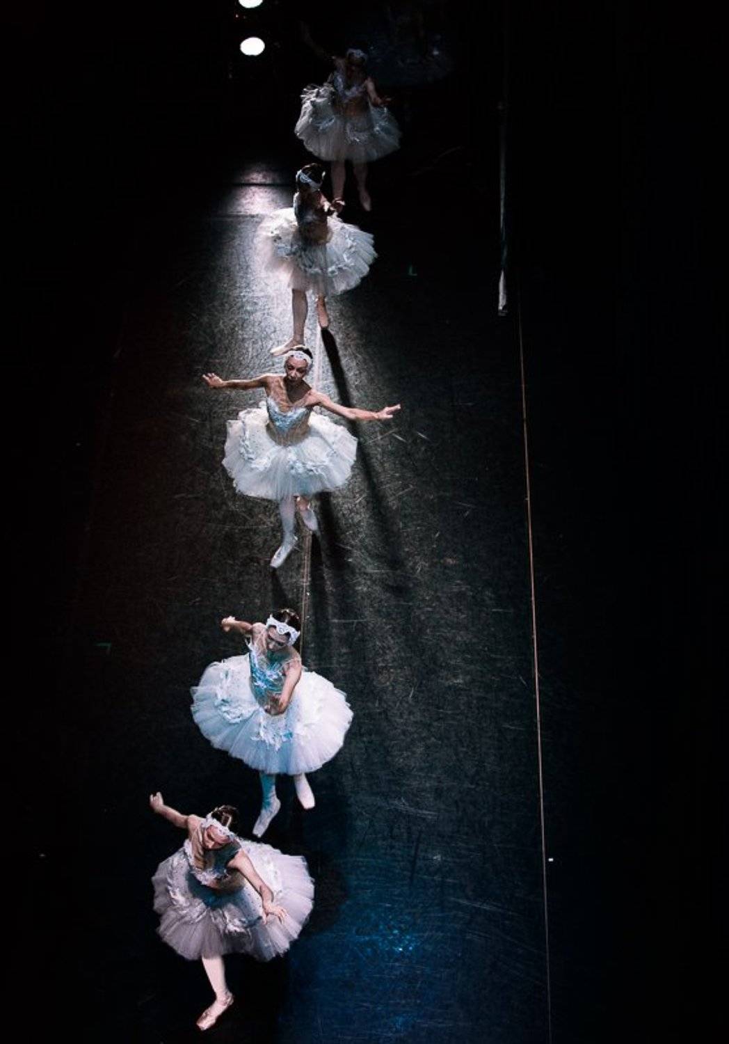 балерины, балет, выход, лебеди, лебединное озеро, полет, D_Runk
