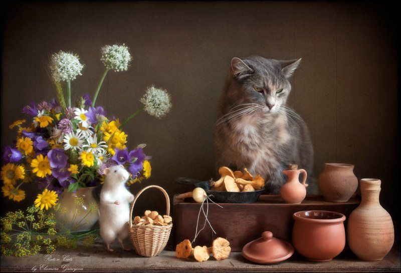 rats\'n\'cats, кошки, кошки-мышки, крыска-игрушка, натюркотики Rats\'n\'Cats. Приключения Феликса. Часть третья. фото превью