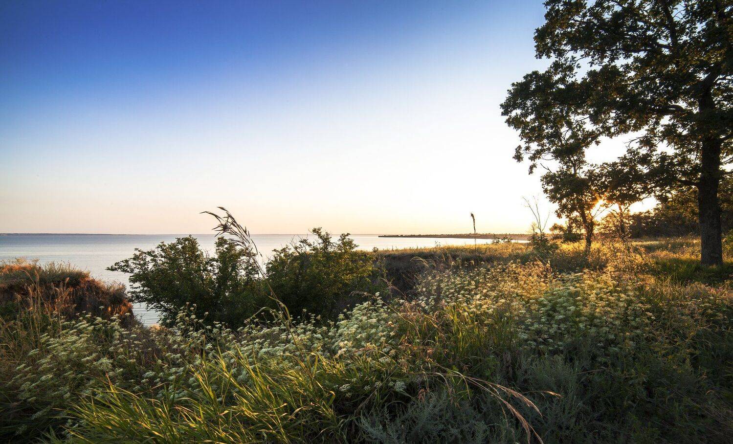 Закат, солнце, природа, Украина, Никита Сердечный