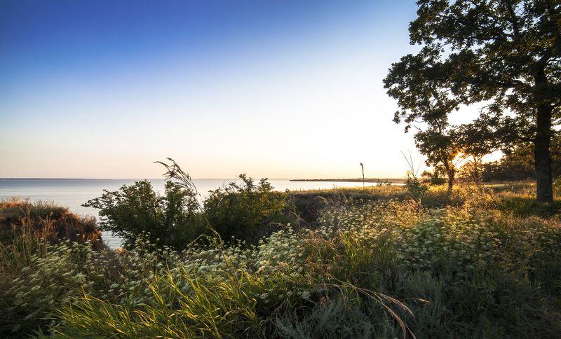 Закат, солнце, природа, Украина Теплый Днепровский закат фото превью