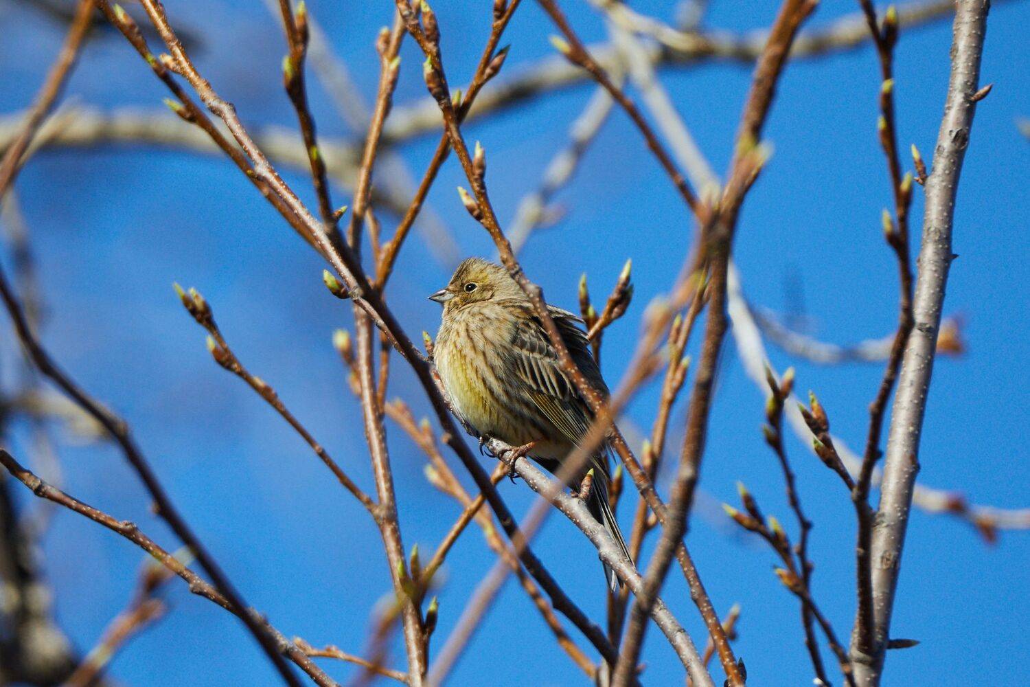 , Гильманов Артур
