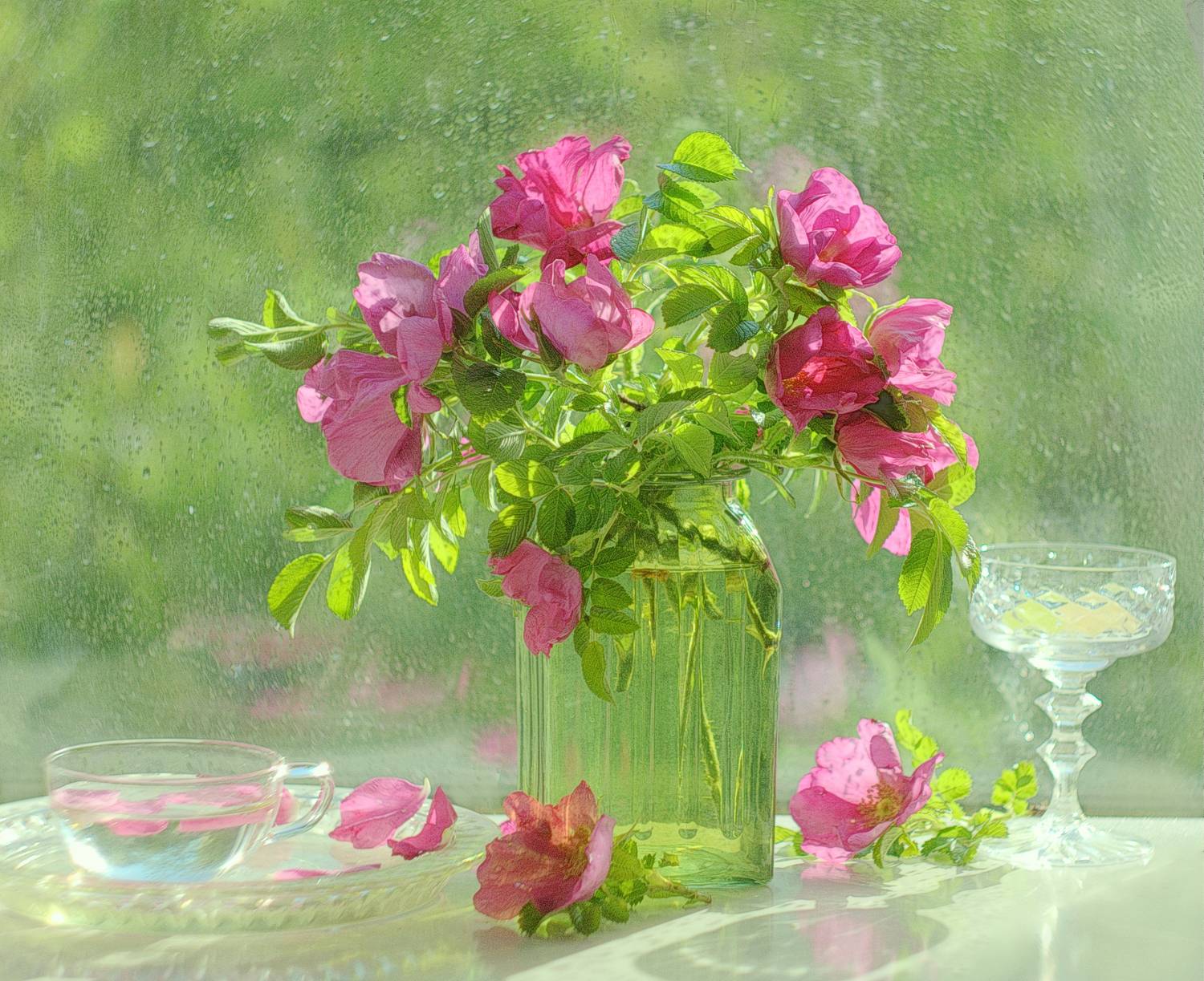 шиповник, цветы, хохлова наталья, Хохлова Наталья