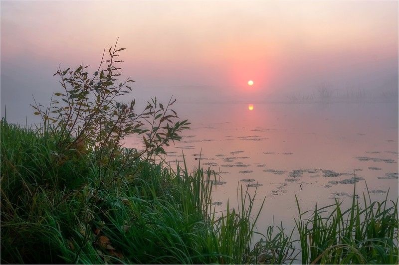 утро, рассвет, солнце, капля, упала, свет, дорожка Упала капля фото превью