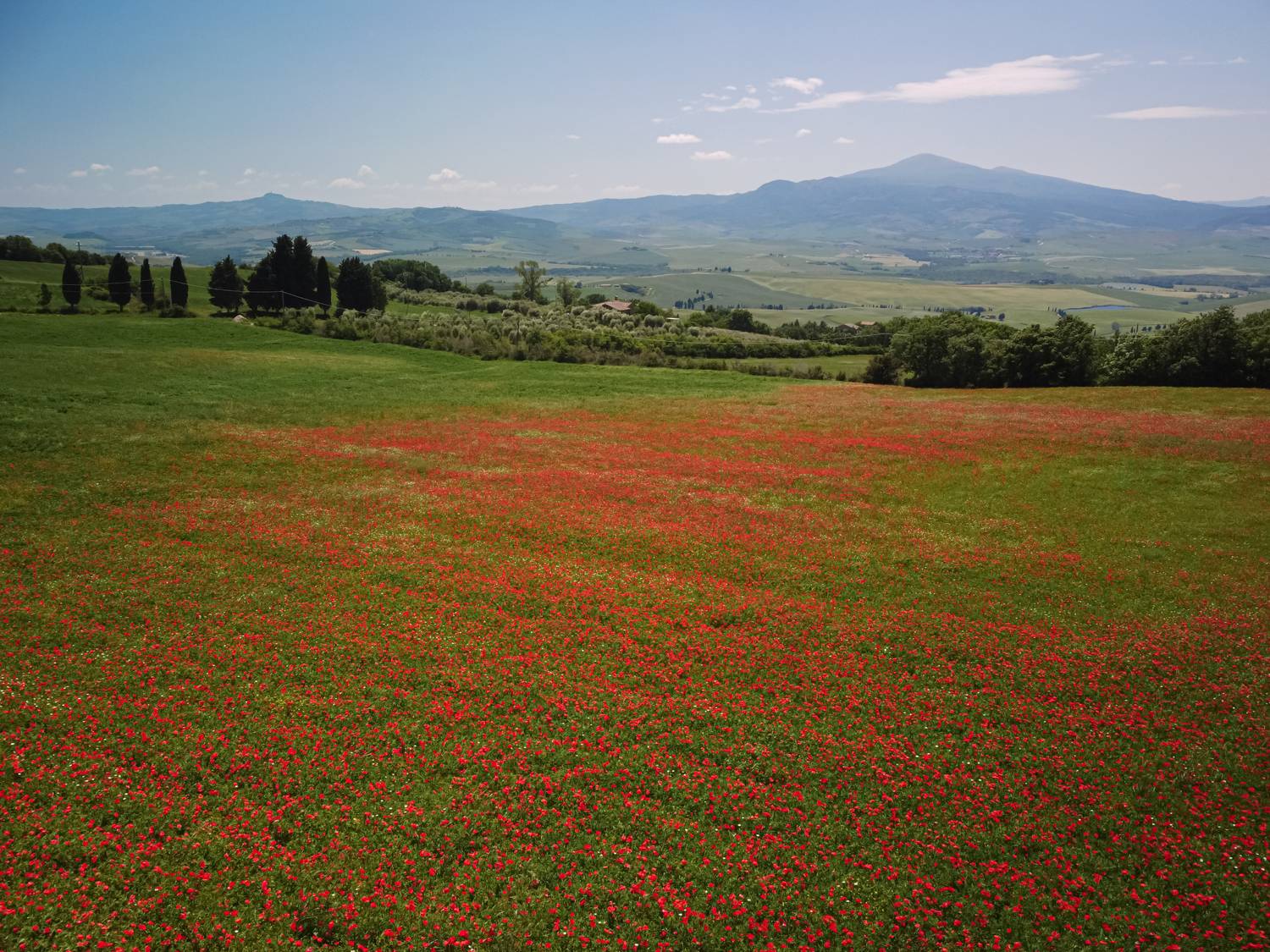 , Максимова Дария