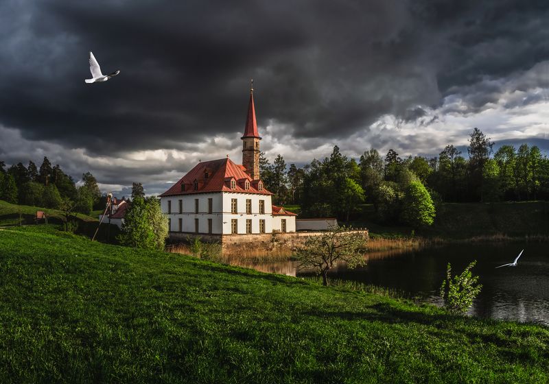 Перед грозой в Гатчинском парке.  фото превью