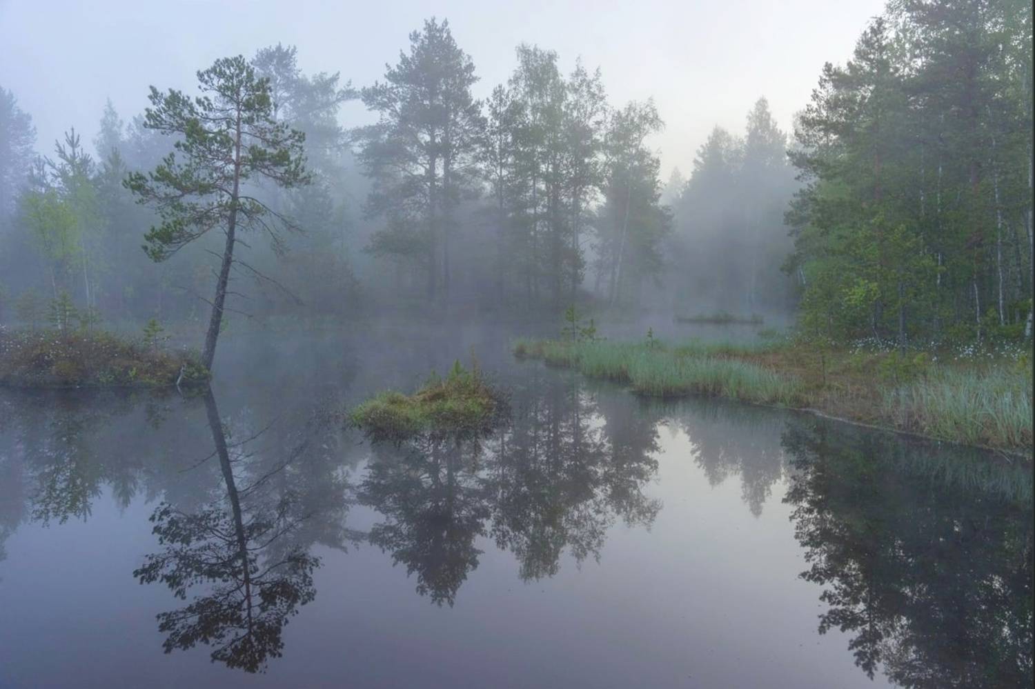 , Петр Косых