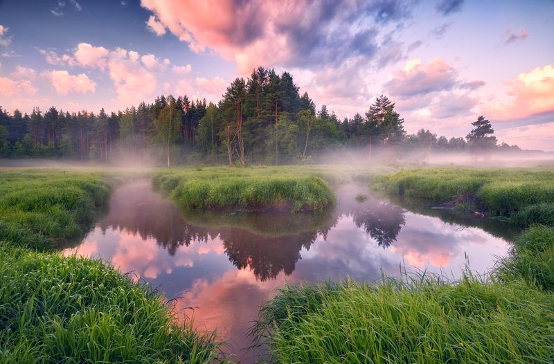 Шередарь.Июнь ... фото превью