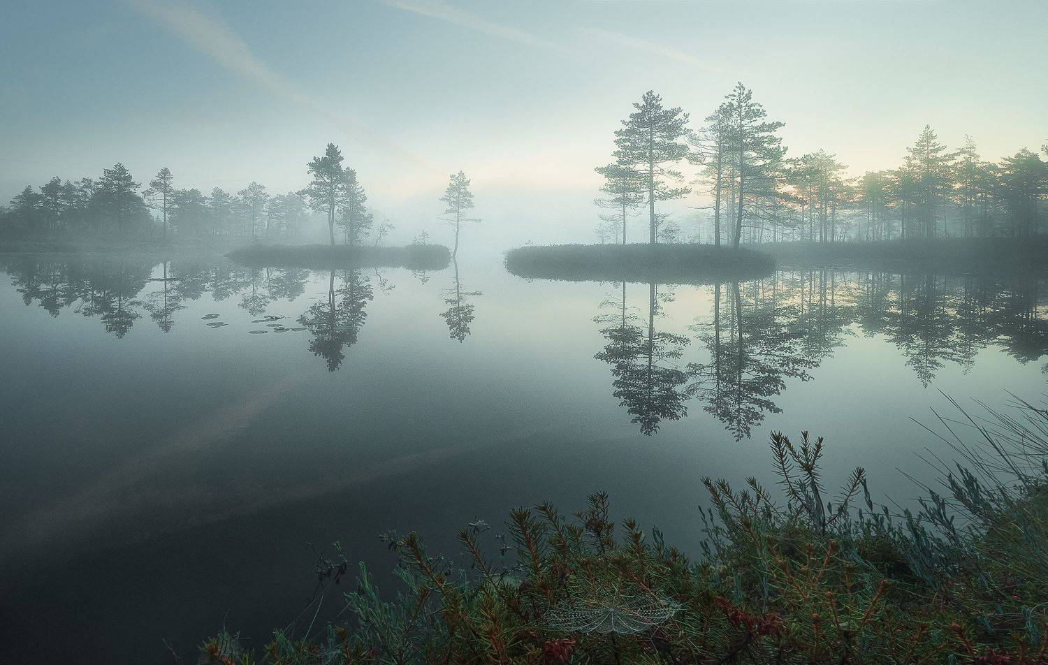 , Кононов Антон