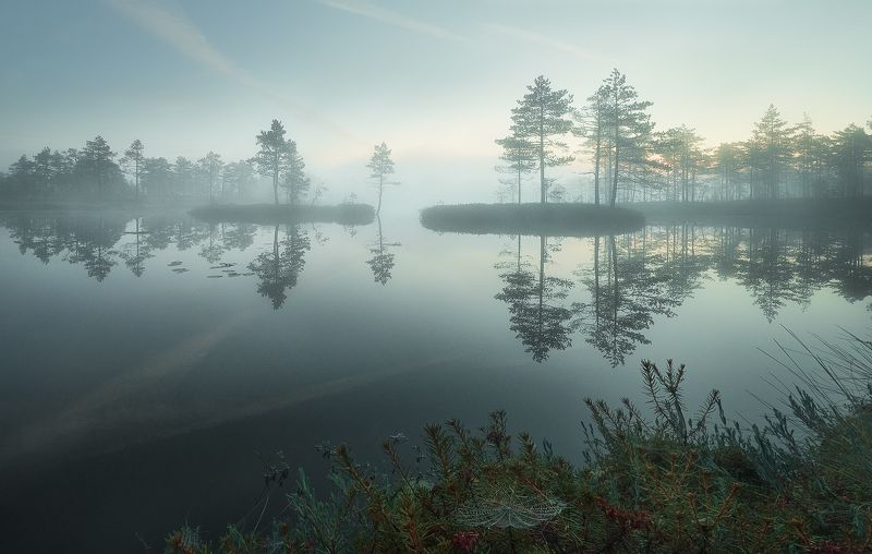 Утро фото превью