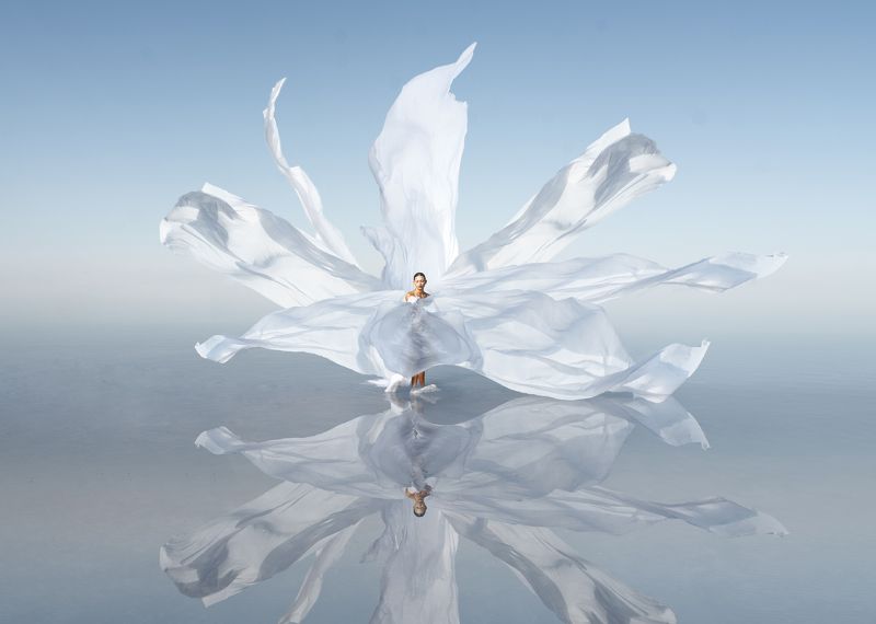 Сердце Эльтона фото превью