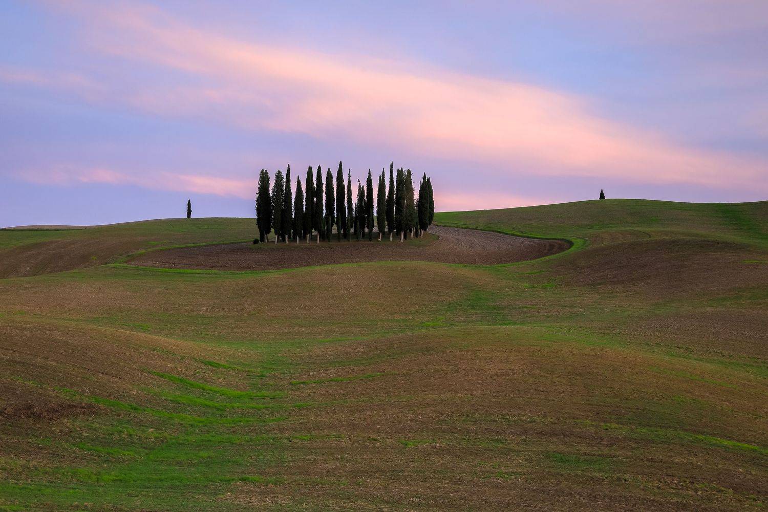 , Евгения Чех