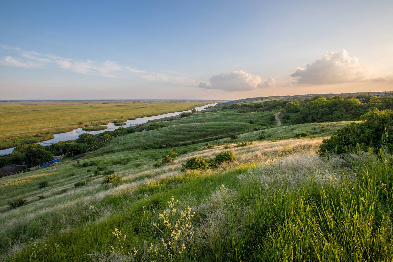 , Илья Михеев