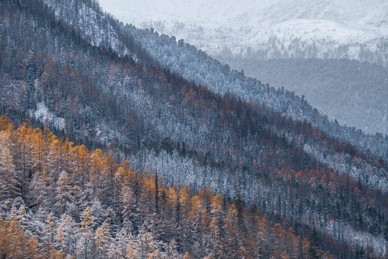 саяны, бурятия, тункинские гольцы Из осени в зиму фото превью