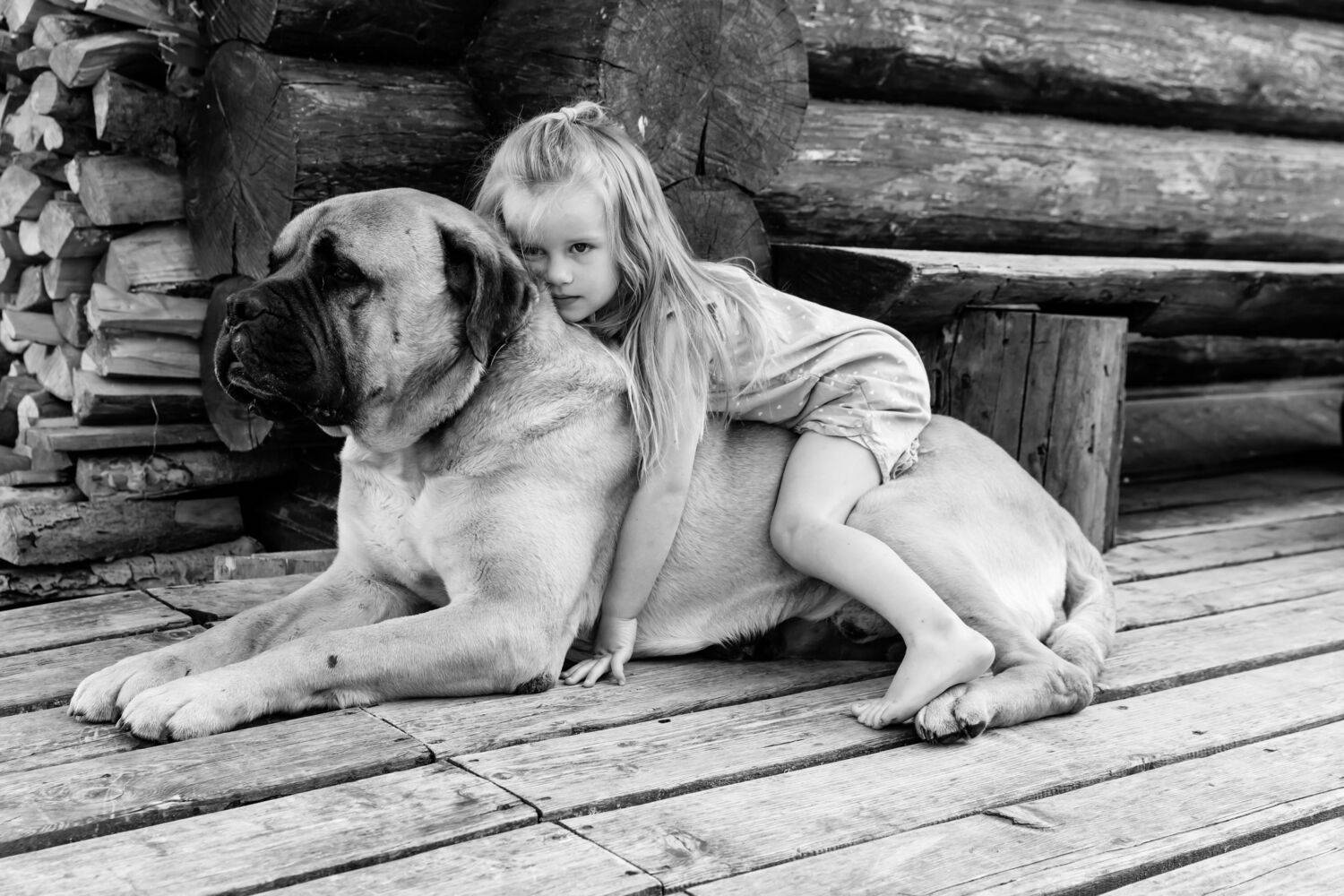 , Шилов Александр