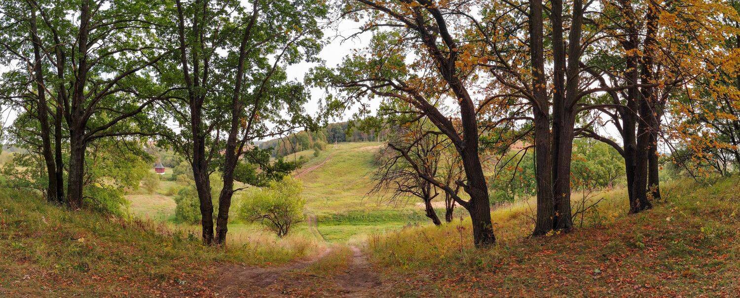 , Светлана Кондрашова