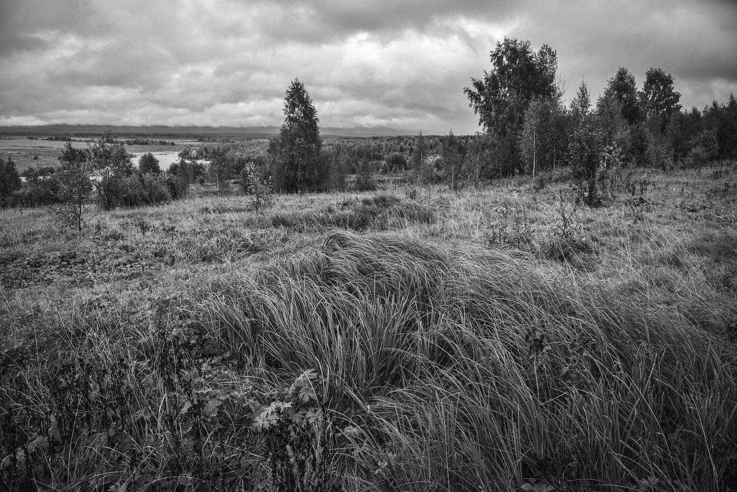 , Александр  Швачко