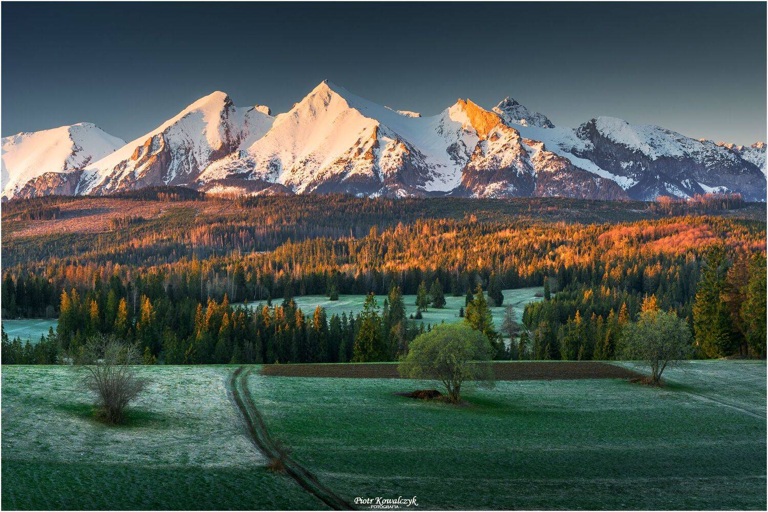 polska, drzewa, wiosna, tatry, g&oacute;ry, Kowalczyk Piotr