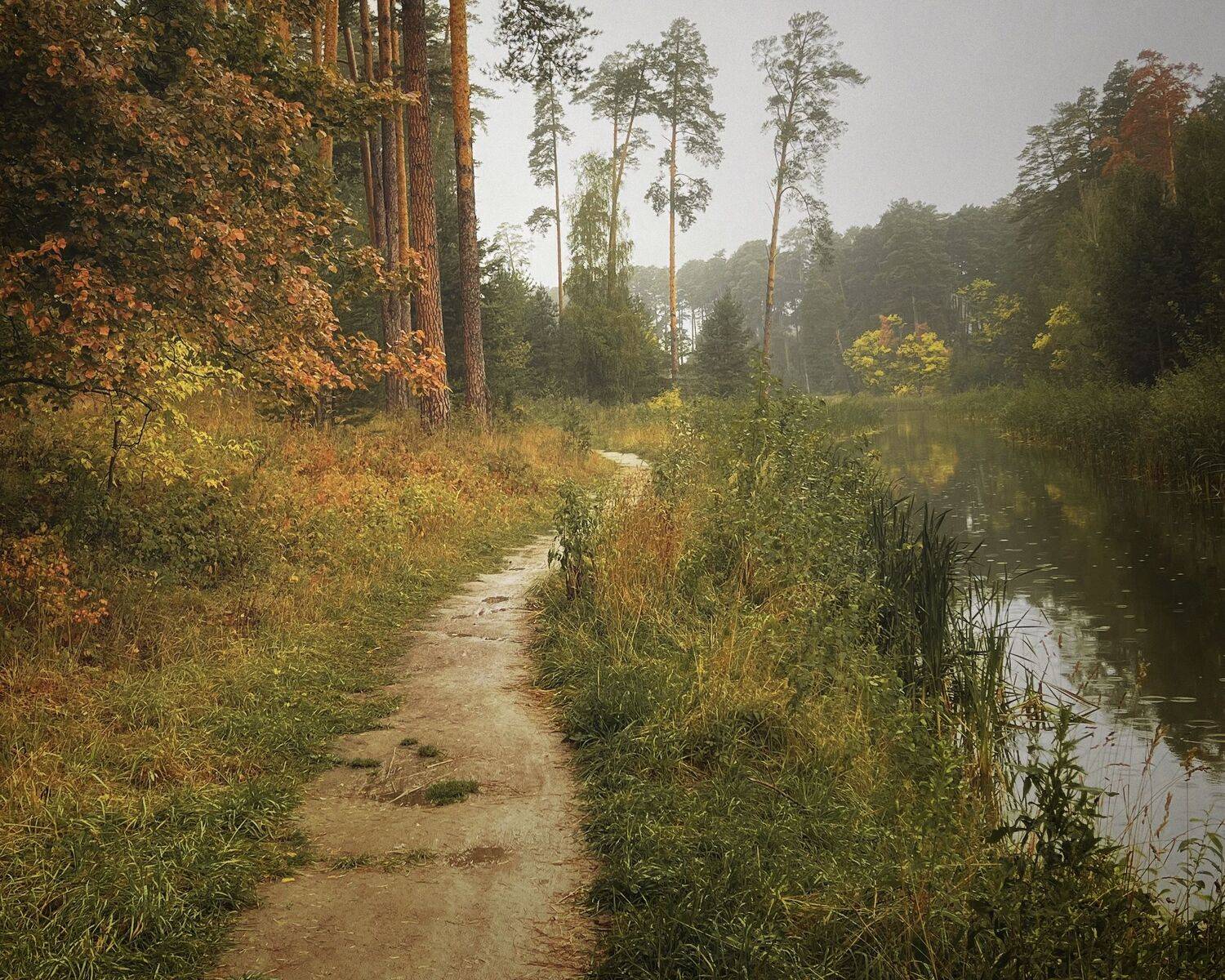 , Юлия Андреева