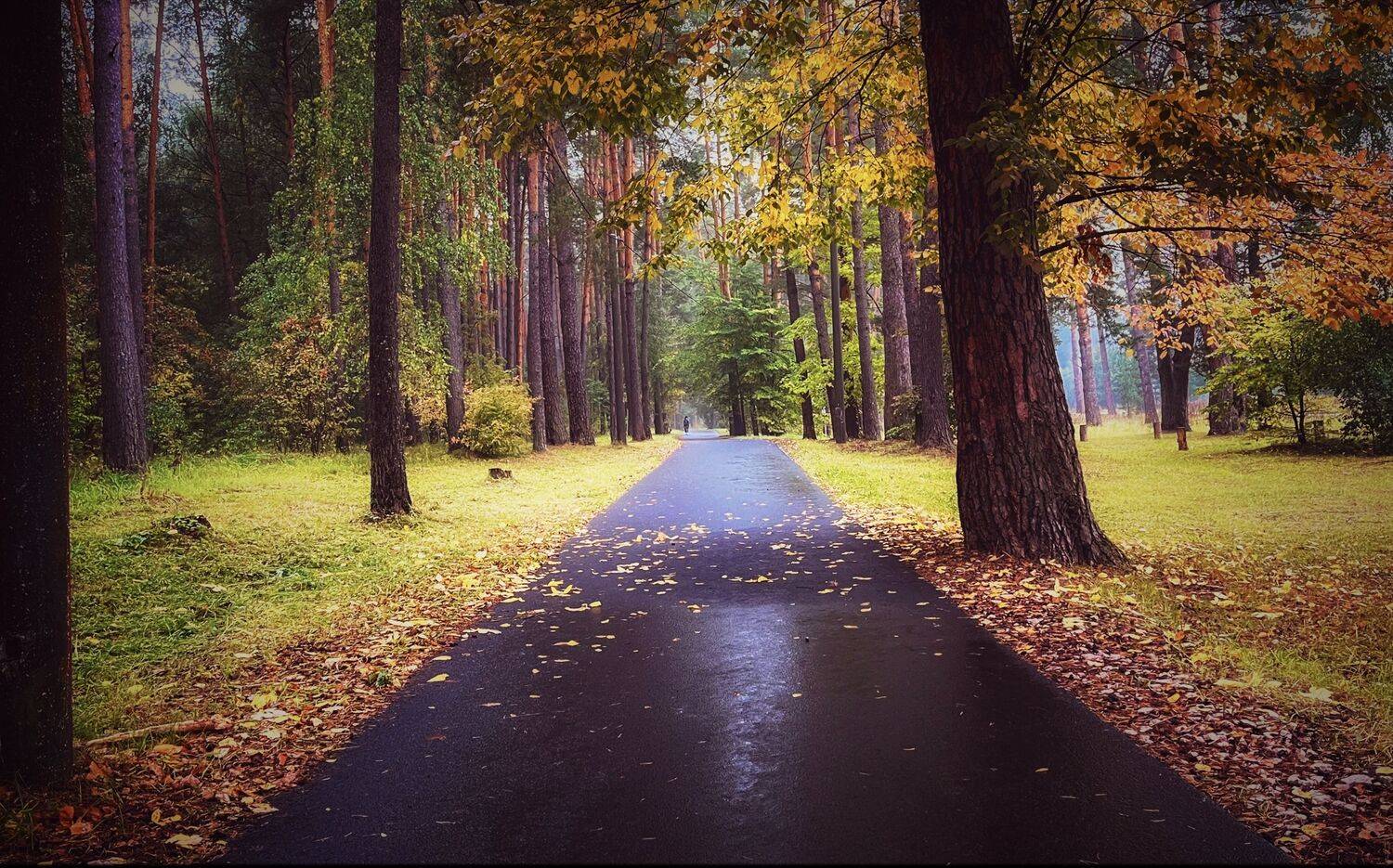 , Юлия Андреева