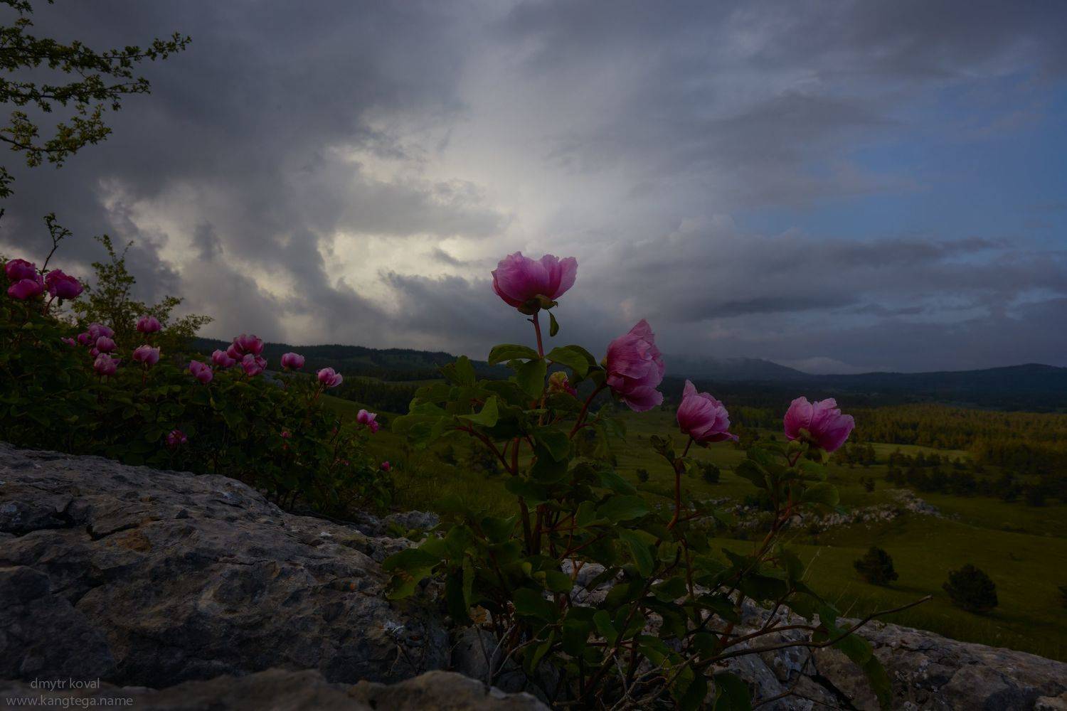 дмитр коваль, гималаи и крым вне треков, пейзаж как магия, Коваль Дмитр