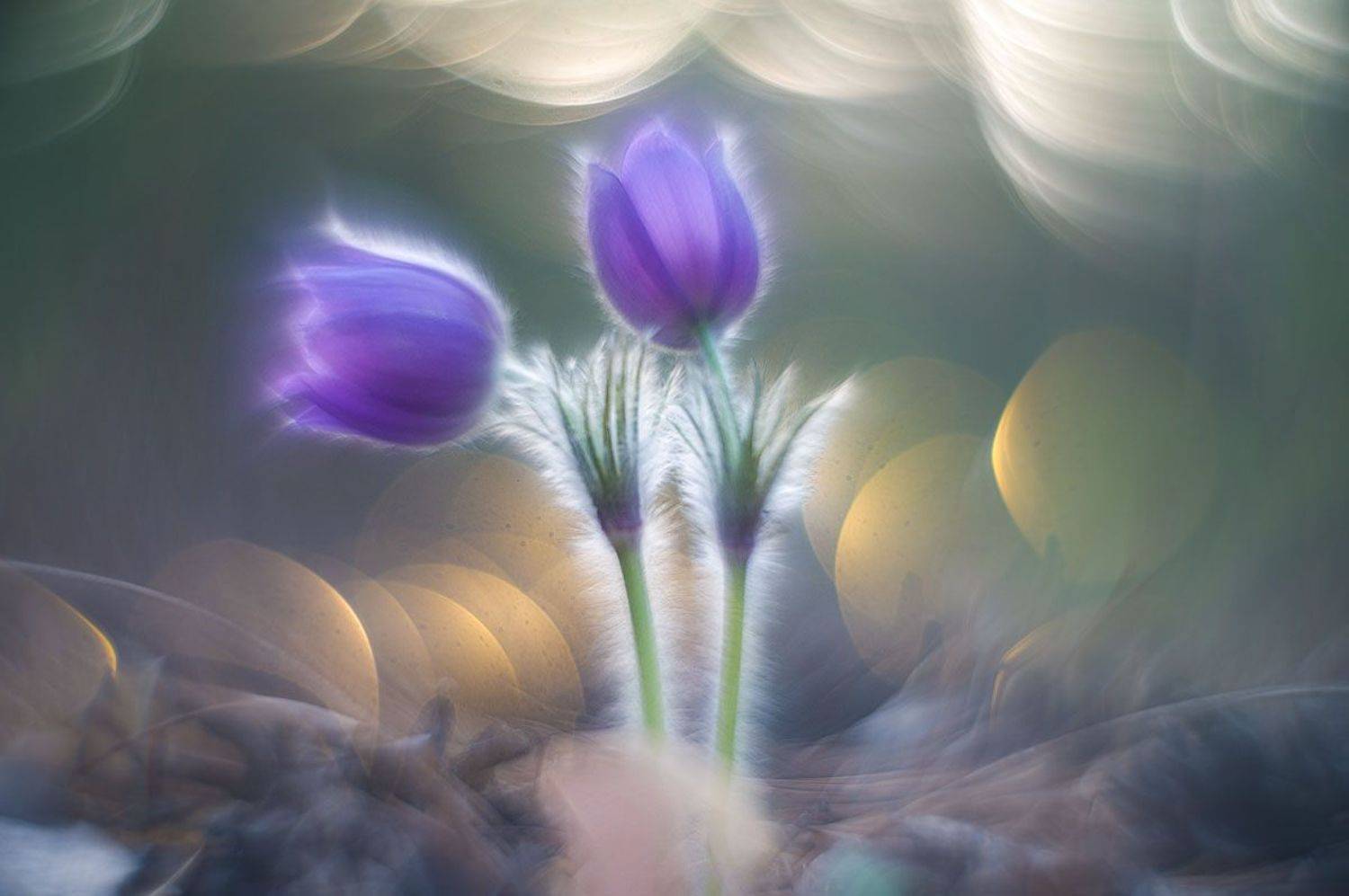 , Сергей Брагин