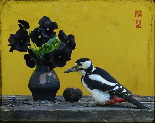 Натюрморт с чёрными фиалками