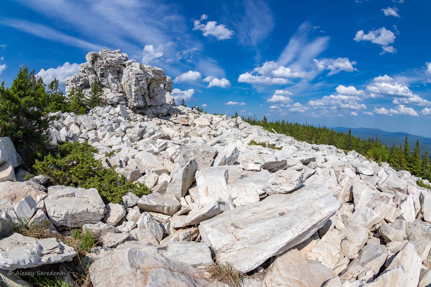 , Алексей Середенин