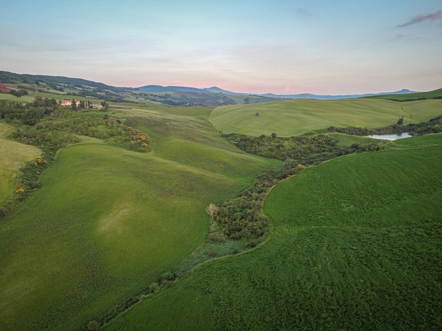 , Максимова Дария