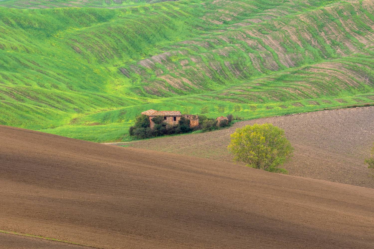 , Евгения Чех