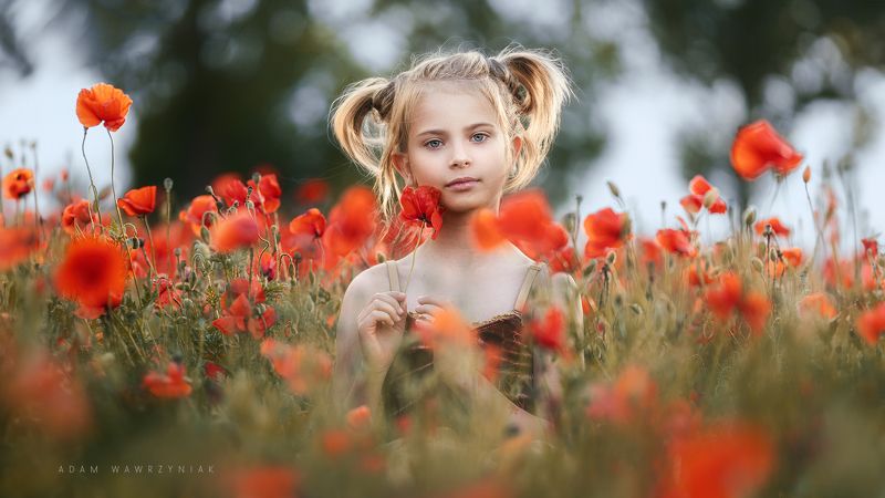 M. фото превью