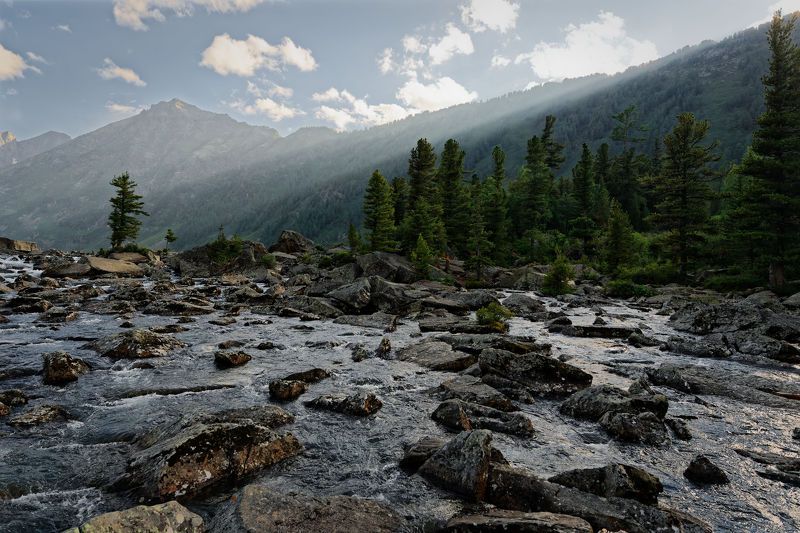 Шумы фото превью