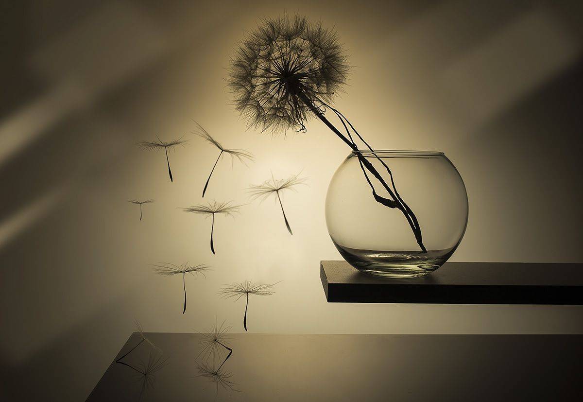 , Евгений Попов