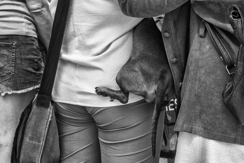 *** фото превью