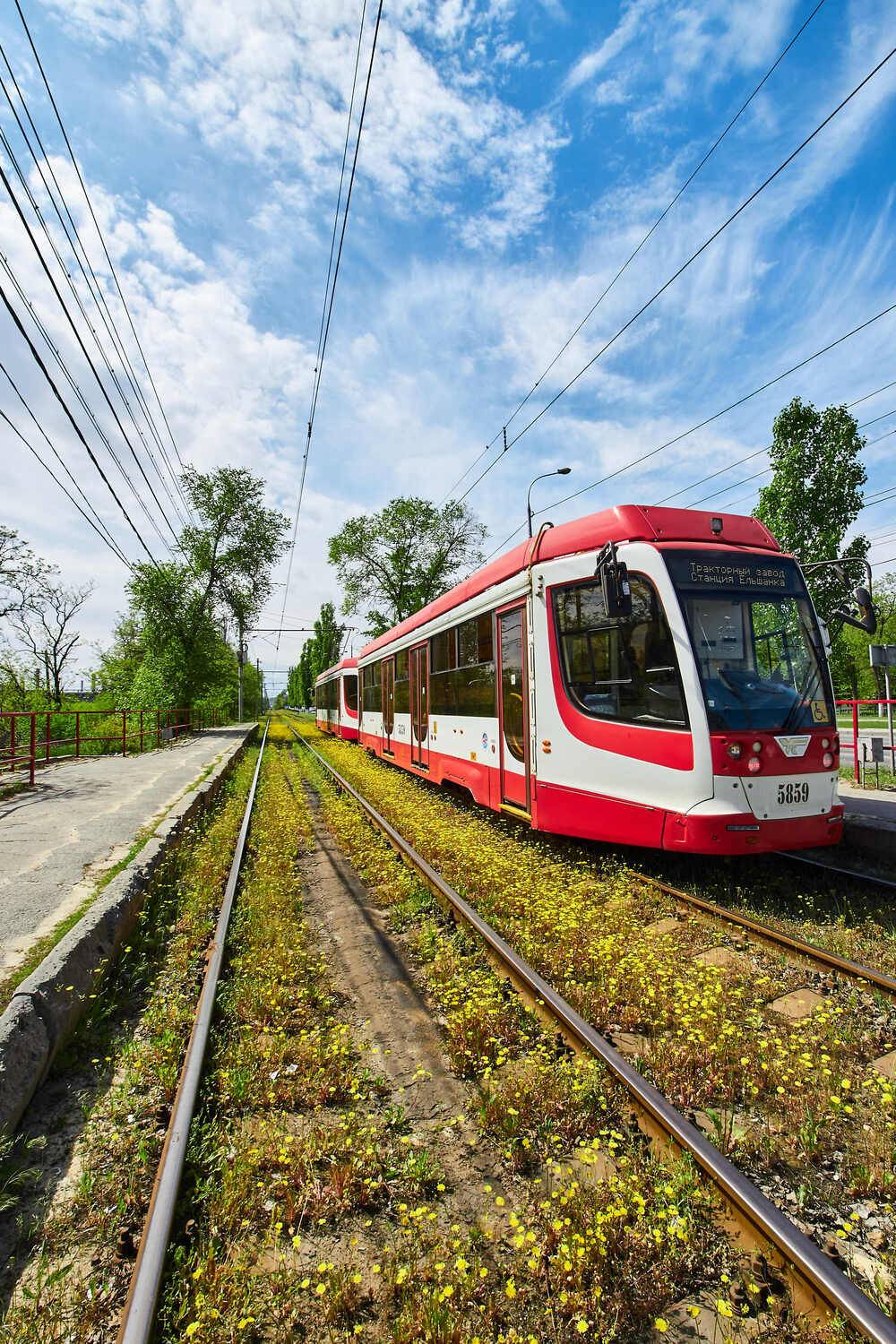 volgograd, russai, wildlife, , Сторчилов Павел
