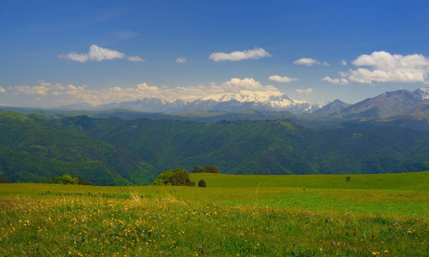 горы лето кавказ, Александр Жарников
