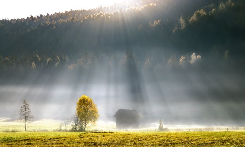 fog фото превью