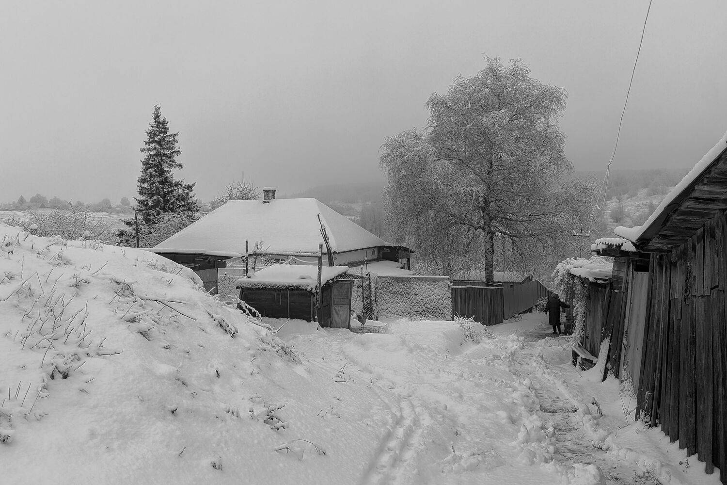 , Светлана Кондрашова