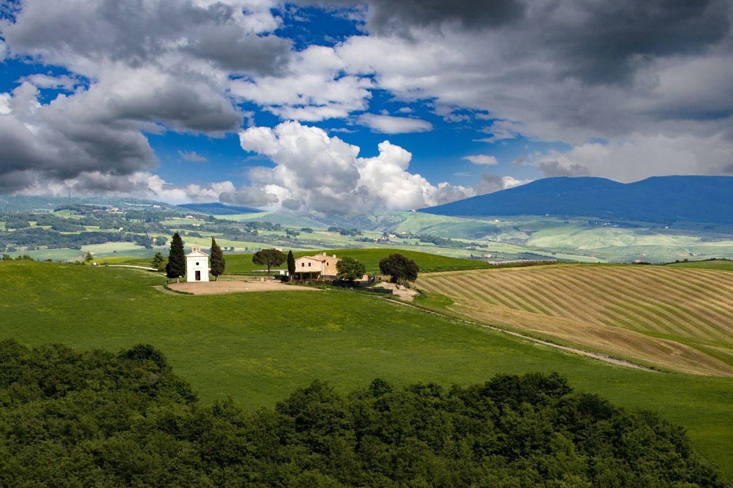, Вадим Городницкий