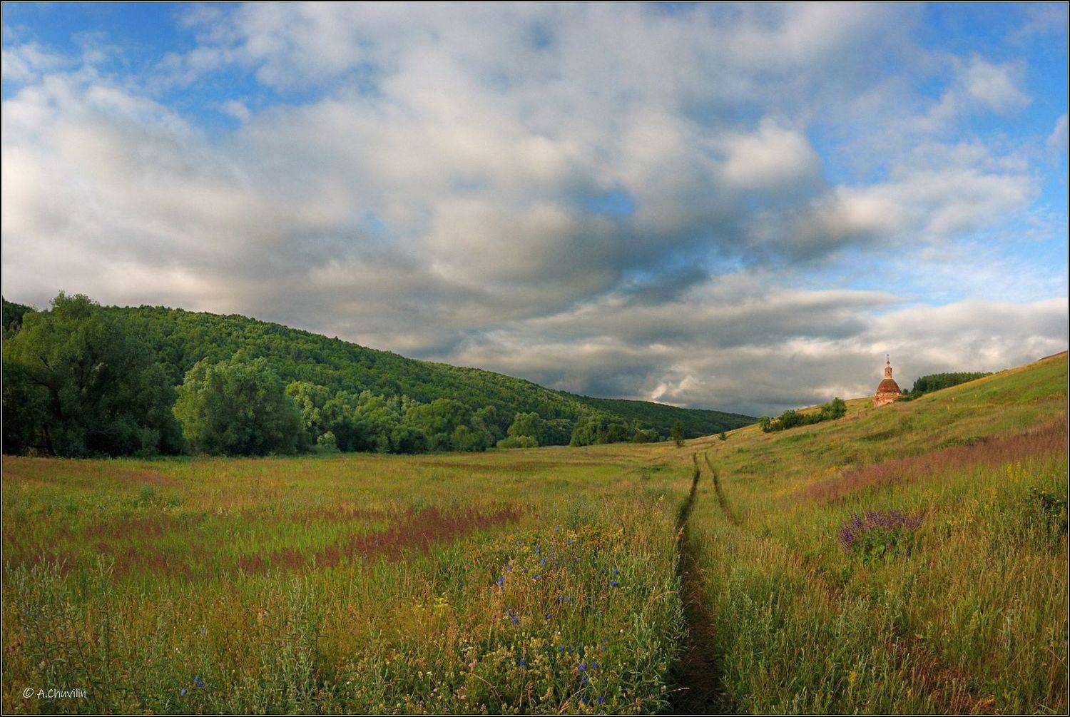 храм,красногорье,разнотравье,тульская ,область,красивая,меча, Александр Чувилин