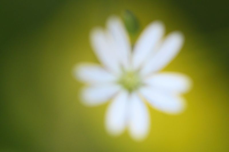 2023 фото превью