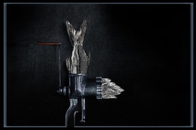 Размножение фото превью