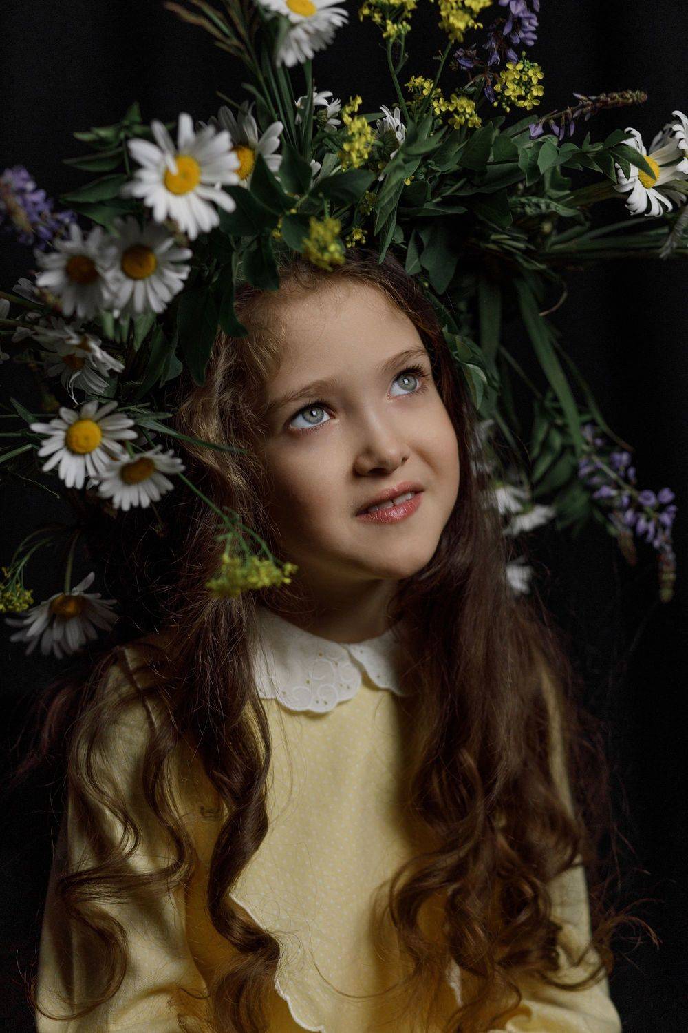 , Бибиков Сергей