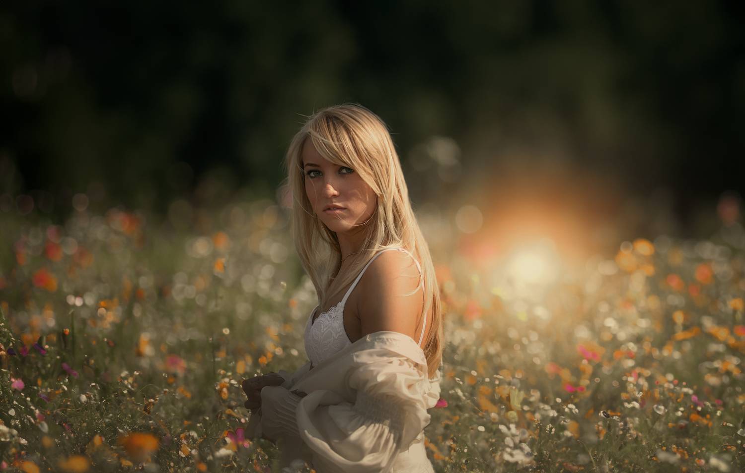 , Булатов Дмитрий