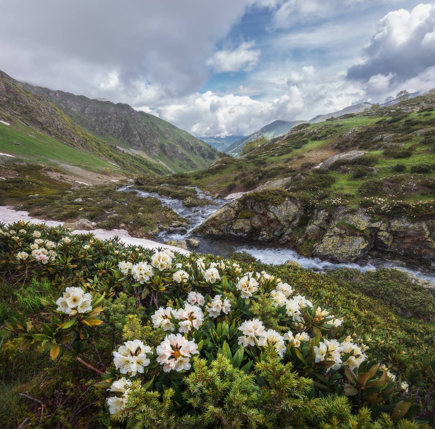 , Кахарова Наргиза