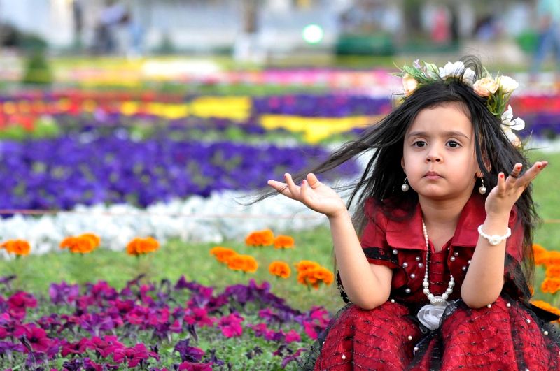 Flowers also grieve. The harsh winds of grief pass over everyone without mercy фото превью