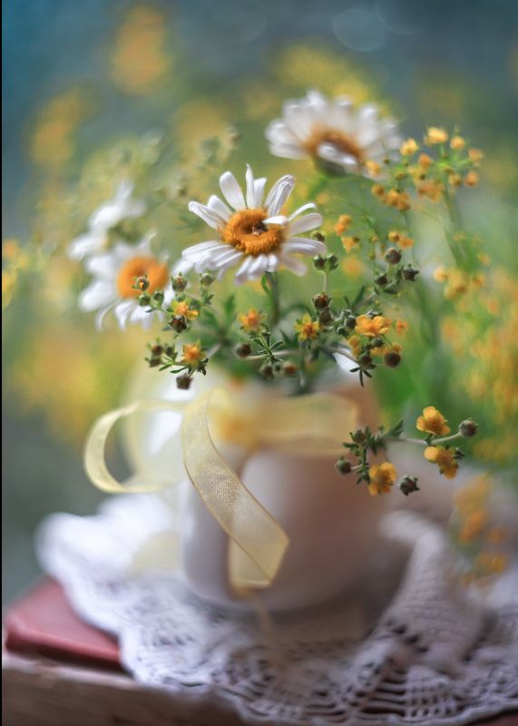 лето, ромашки, молочник, утро,радость новому дню. Веселая ромашка фото превью