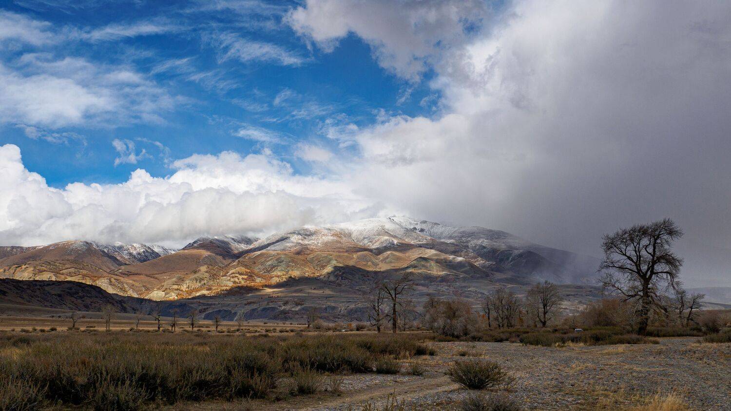 , Немшон Андрей