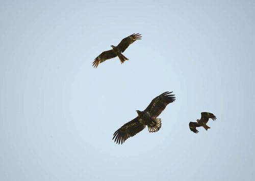 ... и сопровождающие его лица.