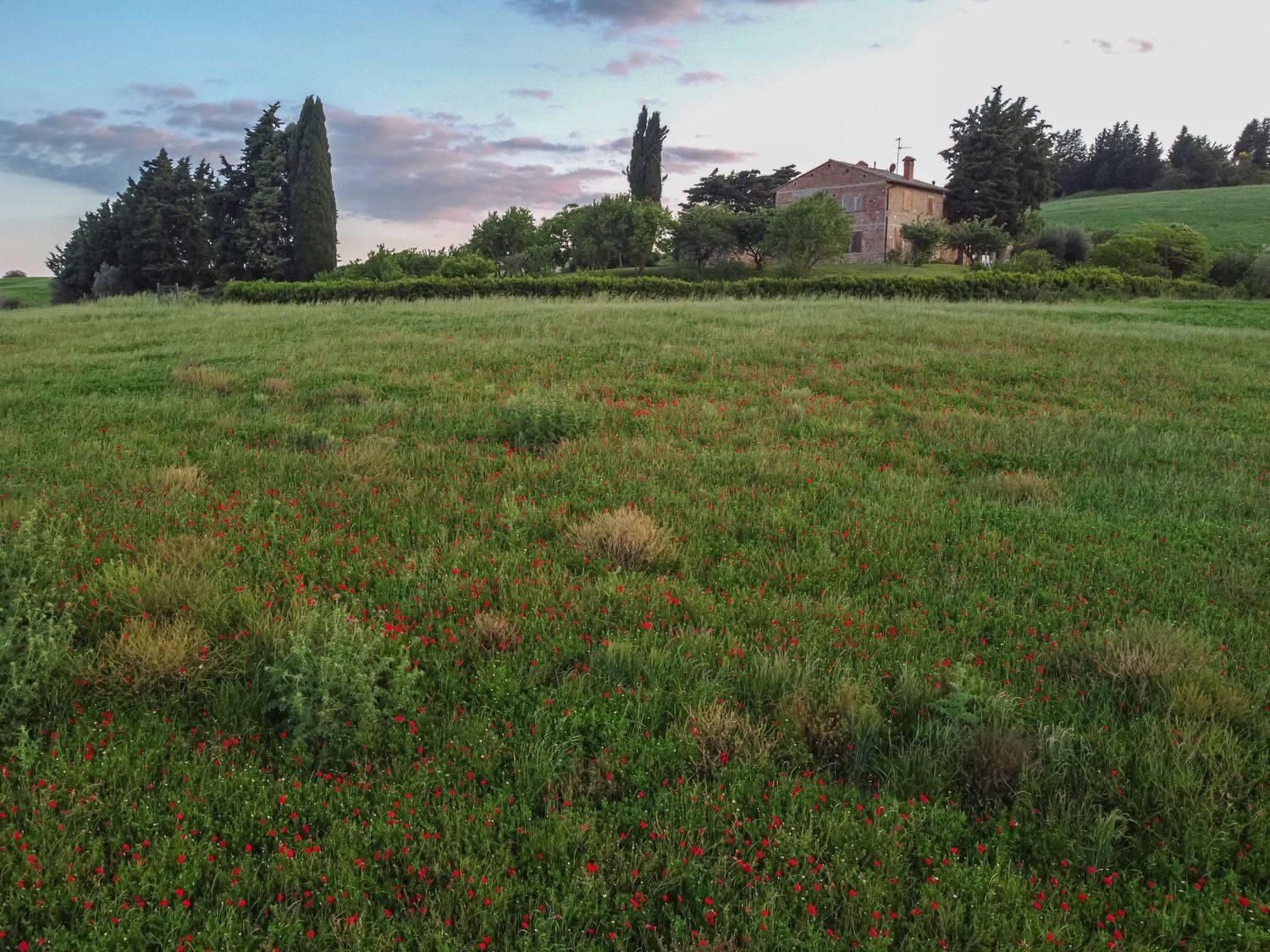 , Максимова Дария