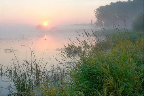 Утро на старице